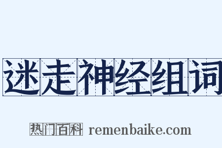 迷走神经组词是什么意思的图片